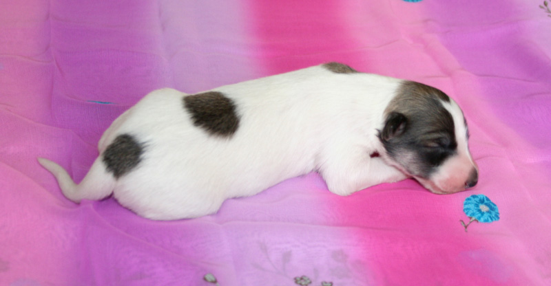 Surf Spots - Girl 2 Cute